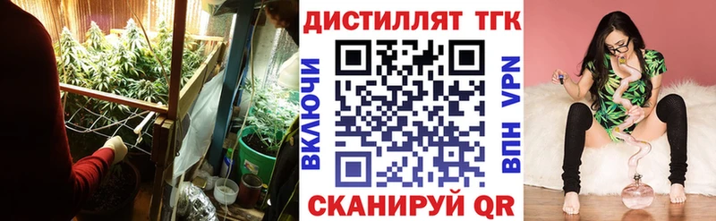 ТГК вейп с тгк  Купить закладки  Няндома 