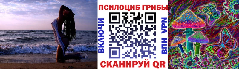 Псилоцибиновые грибы Psilocybine cubensis  Купить  Няндома 